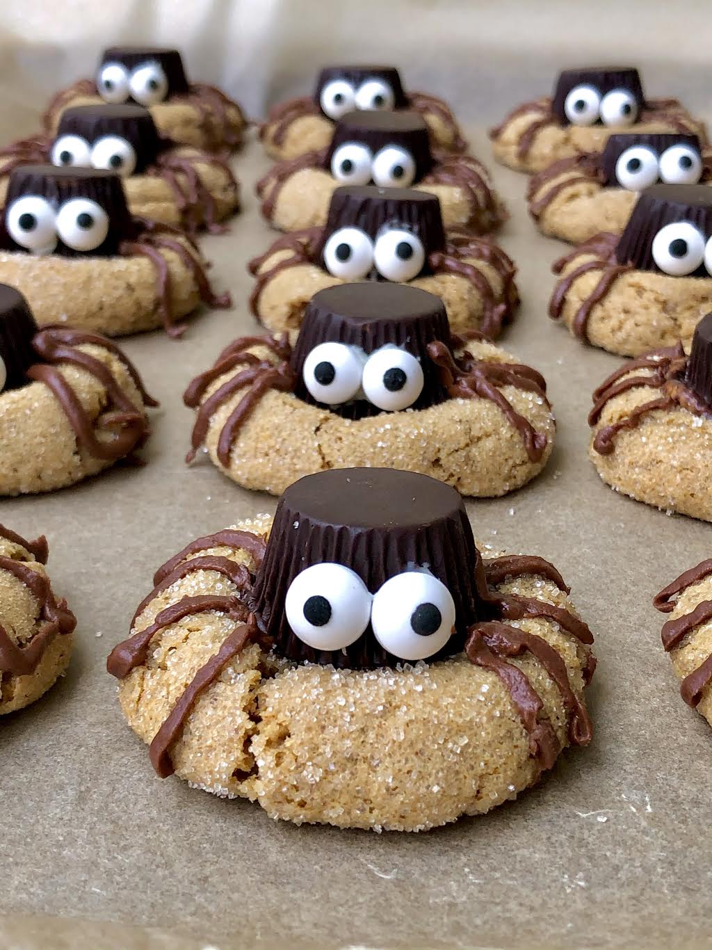 Dark Chocolate Peanut Butter Spider Cookies - Figgin Delicious