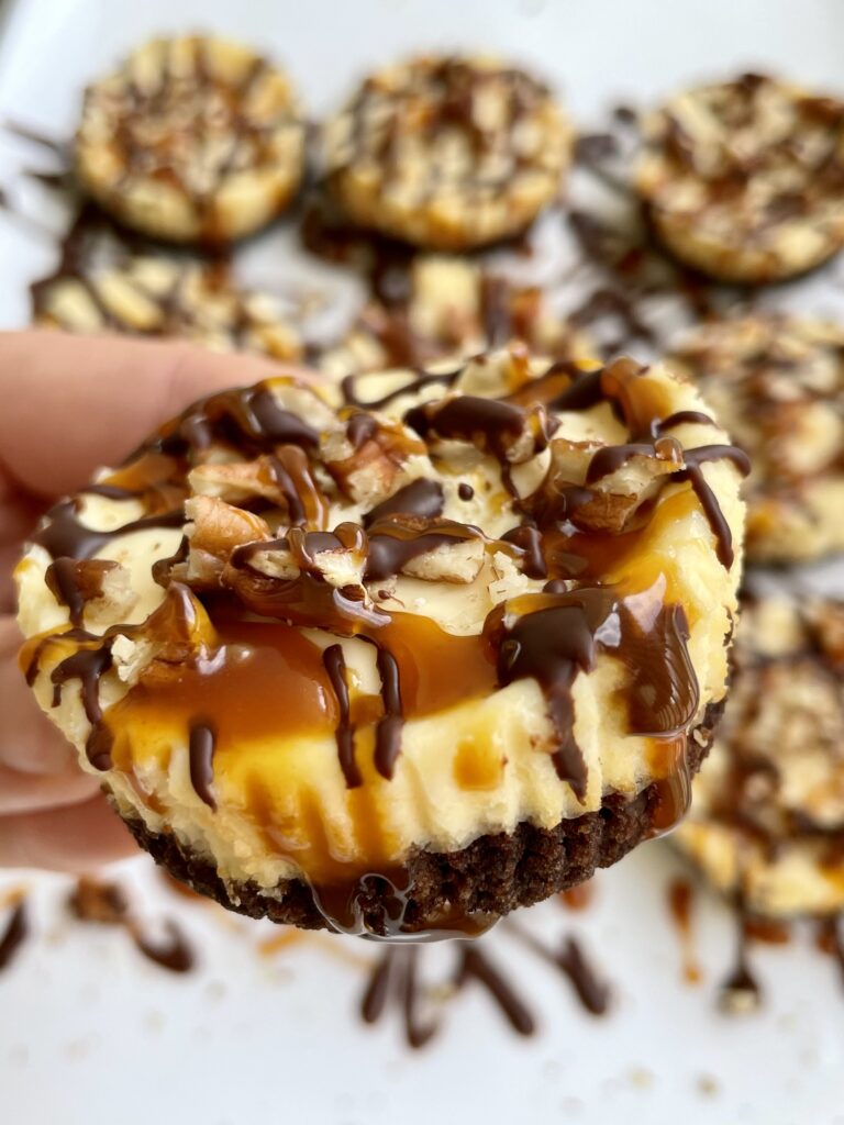 mini-turtle-cheesecake-3